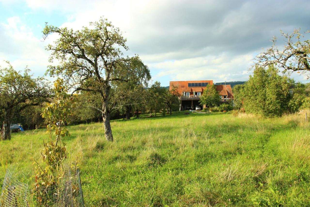 Hof Sinnenberg Deggenhausertal Exteriör bild